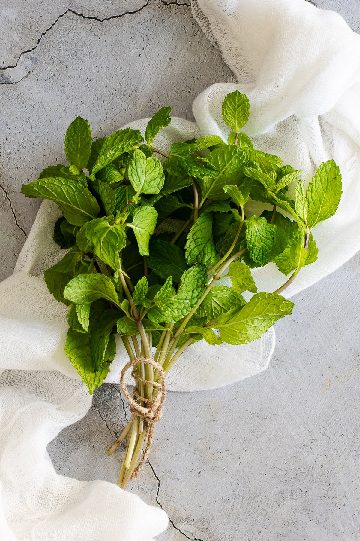 How to Store Fresh Mint